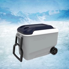 이글루롤링쿨러