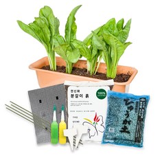 가을상추