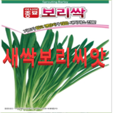 새싹용 보리씨앗 1kg (아시아종묘), 1개