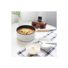 디온리멀티쿠커