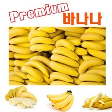 바나나10수