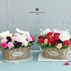 알티피아 스페셜데이 카네이션 꽃바구니 인테리어소품 1EA (WC6A352), 레드