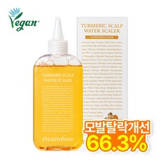 [공식] 스팀베이스 강황 쿨링 두피 워터 스케일러 모발탈락수개선, 1개, 250ml