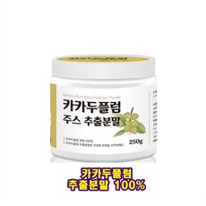 아이러브플럼