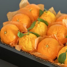 안고미 혼합 과일선물세트 사과 배 망고 한라봉 레드향 명절 추석 설날 상견례 답례품 이바지 병문안 승진 축하, 1박스