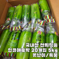 산지직송 국내산 인큐애호박 20개입 1박스 못난이 특 20개입, 1개, 특품 20개입 1박스(6kg 내외)