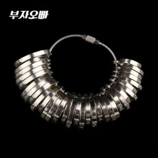 반지호수게이지