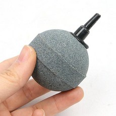 아마존 콩돌 50파이, 본상품