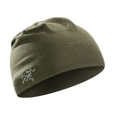 아크테릭스비니