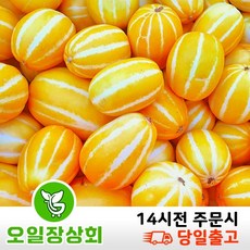 ( 오일장 상회 ) 당도선별 성주참외 가정용 참외 크기(랜덤) 1kg 2kg 5kg 10kg내외 상세내용확인, 1개, (랜덤)10kg내외