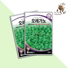 오레가노 1000립 세계종묘 화훼류 허브 씨앗, 1개