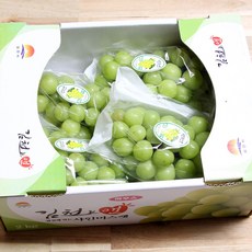 다농이네샤인머스캣