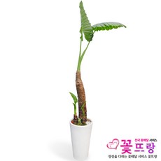 6d34b9cce7dd13f7730206d5ec4d89f29dd88072ebca1df8178e7146a893.jpg