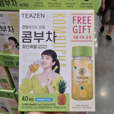 티젠콤부차파인애플