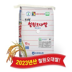 동철원농협오대쌀(일반) 2023 동철원농협 철원오대쌀 10kg, 1개