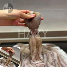 헤이지 낙지 1KG 냉동식품, 1개