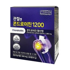 무릎 관절 영양제 콘드로이친 1200, 60정, 900mg, 0, 1박스