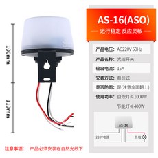 푸시스위치 광학 제어 220V 레인가드 AS20 자동 밤밝은빛 감응 스마트 길 불빛 통제함 기, 1, 라이트그레이 색깔