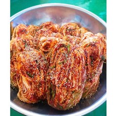 직접키운 전라도 가정식 포기 생김치 익은김치 당일버무린 새김치