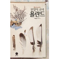 부엉이 소녀 욜란드:박애진 장편소설, 폴라북스