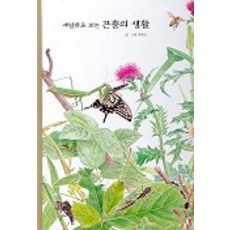 곤충그림책