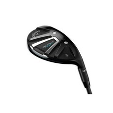 파크골프채왼손잡이