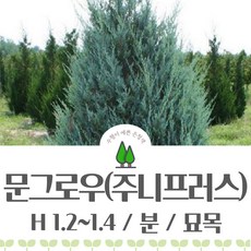 d2ceb4fd6eb67781f98588af88a3b0e6543525c40239dd9a9d740e345a8d.jpg