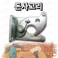 돈사고리
