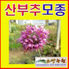 a93f0d03f426ba7a7d4f46f8a6e8df634d9af2fd9ae7171ed0a20ea17111.jpg