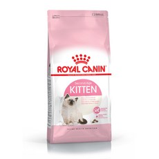 로얄캐닌키튼2kg