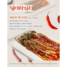 [송미푸드] 화끈하고 맛있게 매운 실비파김치, 1개, 1kg