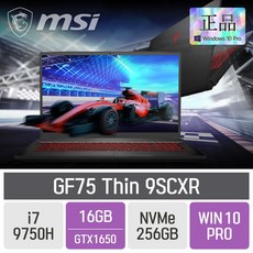 msigf75