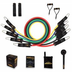 swelldom Resistance Bands Set - Include 5 Stackable Exercise with Handles Carry Bag Legs Ankle Straps Door Anchor Attachment 100 Life Time, One Color