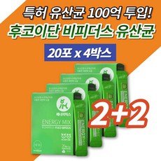  반려견 반려묘 강아지 고양이 특허 유산균 프로바이오틱스 프로바이오스틱 후코이단 프락토올리고당 장건강 면역 영양제 개 애견 반려동물 길냥이 길고양이, 4박스 