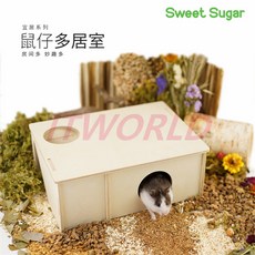 나이트엔젤데크