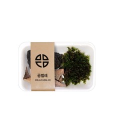 과학쌤이오관찰세트