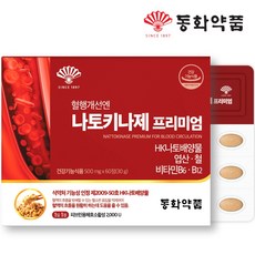 동화약품 혈행개선엔 나토 키나제 프리미엄 낫토 키나아제, 1개, 60정