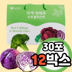 4색보감양배추즙