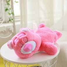 푸우티슈케이스