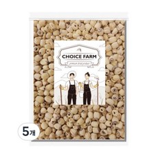 초이스팜 껍질깐 연자육, 300g, 5개