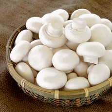 초록단비 양송이버섯, 1개, 2kg (상품)