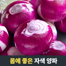 [농장직송] 몸에 좋은 자색양파 1kg 4kg 8kg 15kg 무안자색양파 양파 자색양파10kg 자색양파 적양파 자색양파5kg 양파20kg 햇적양파 무안양파 자주색양파