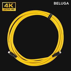 벨루가케이블