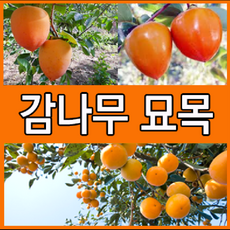 532f9f6086186905fe2cd8f3191e090d3fd7d5dea5f919871c742e67c598.png