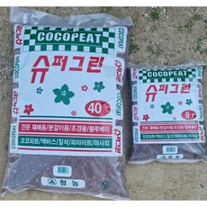 냄새없는골풀수면시트