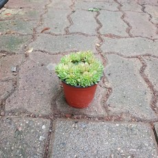 4c01ecd7f81092e15ea5a0474c7b2552f47dd2ff0883d7f3a1caf800f8bf.jpg