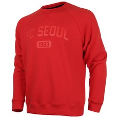 fc서울
