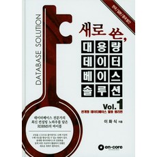 새로 쓴 대용량 데이터베이스솔루션. 1:관계형 데이터베이스 활용 원리편, 엔코아컨설팅