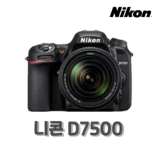 니콘 D7500 (렌즈미포함)