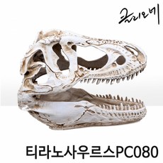 티라노사우루스화석